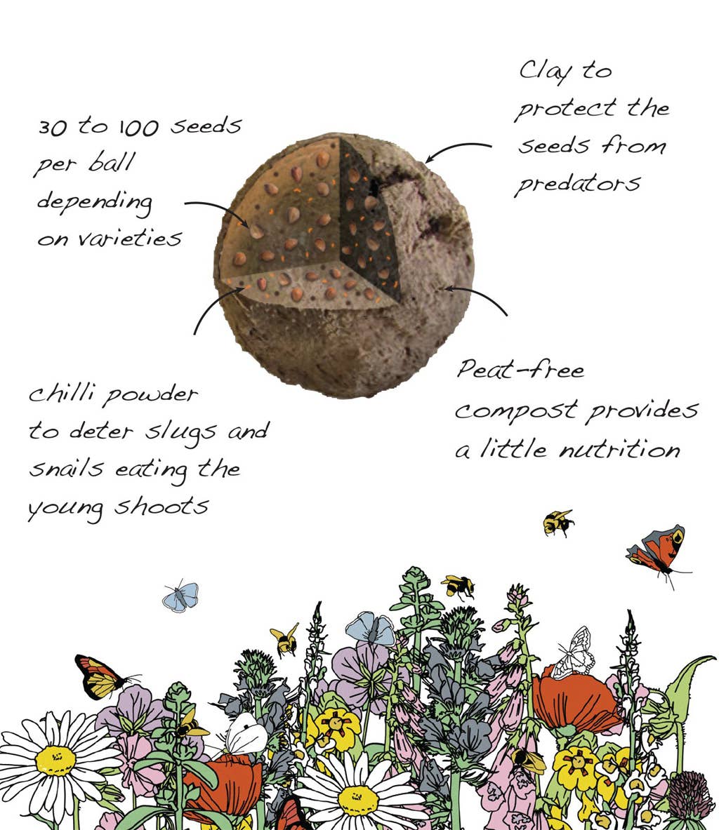 Seedball Wildflower Grab Bag - Wildlife Mix