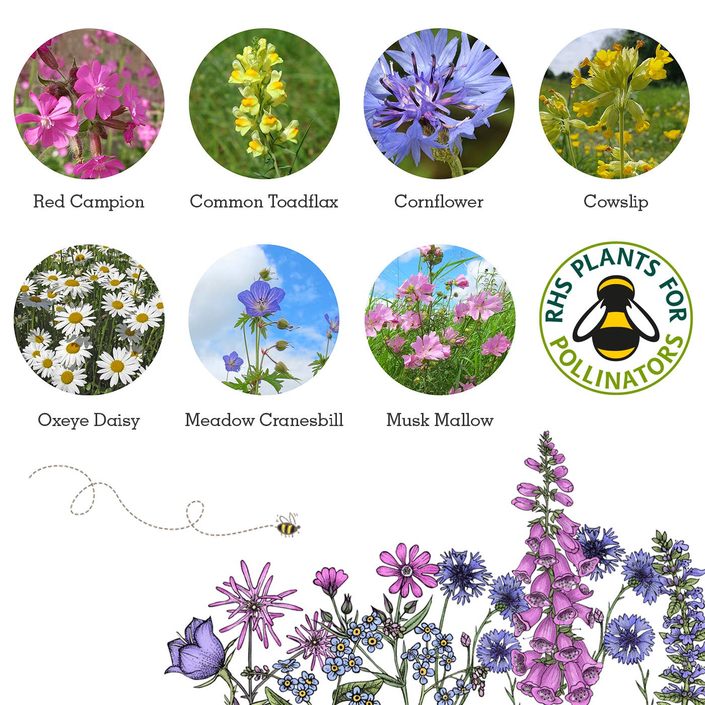 Make Your Own Seedball Kit - Garden Meadow