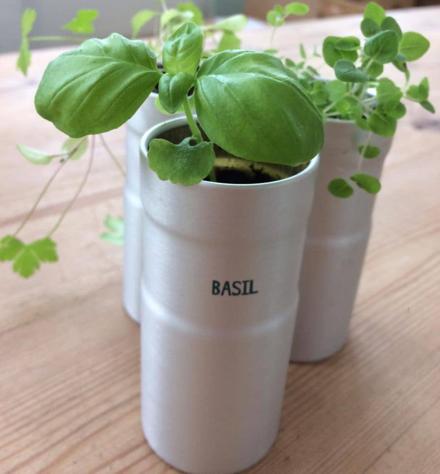 Grow Your Own Herb Kitchen