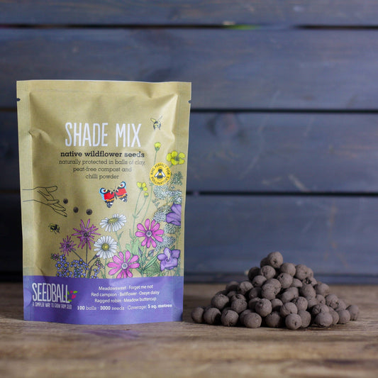 Seedball Wildflower Grab Bag - Shade Mix