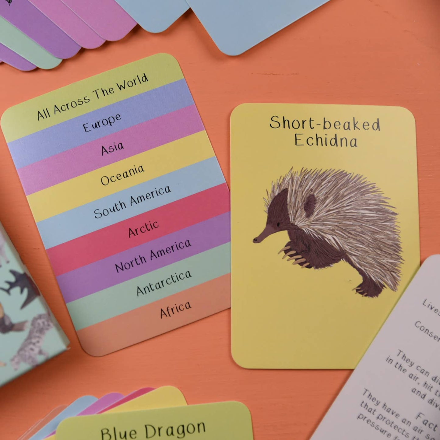 Amazing Animals Fact Cards