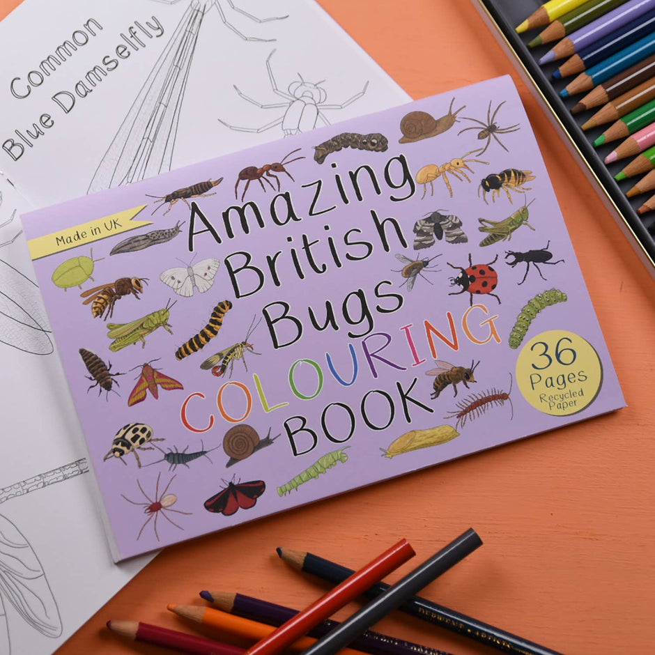 Gifts For Children – Page 2 – Brambly Trails