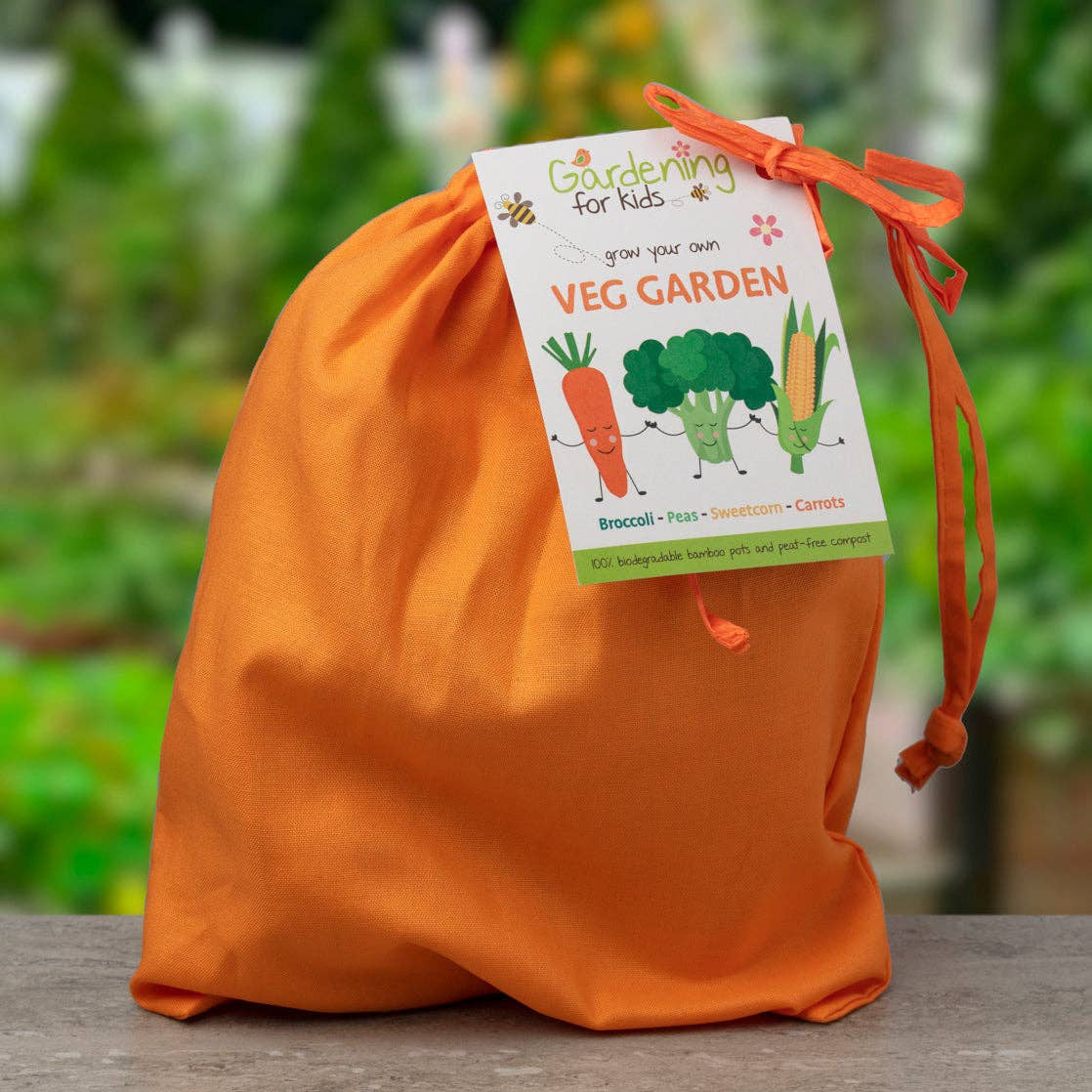 Grow Your Own Vegetable Garden Gift Bag