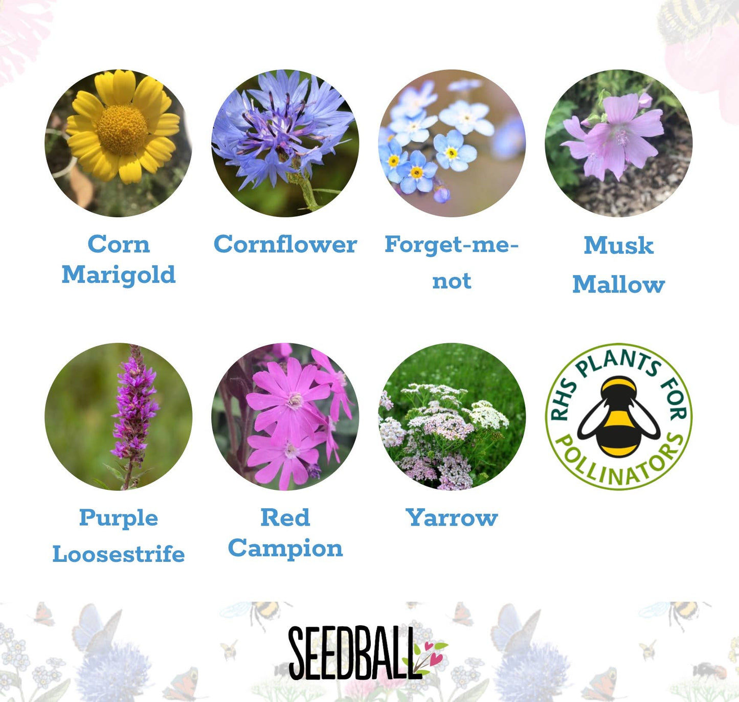 Make Your Own Seedball Kit - Flowers for Butterflies
