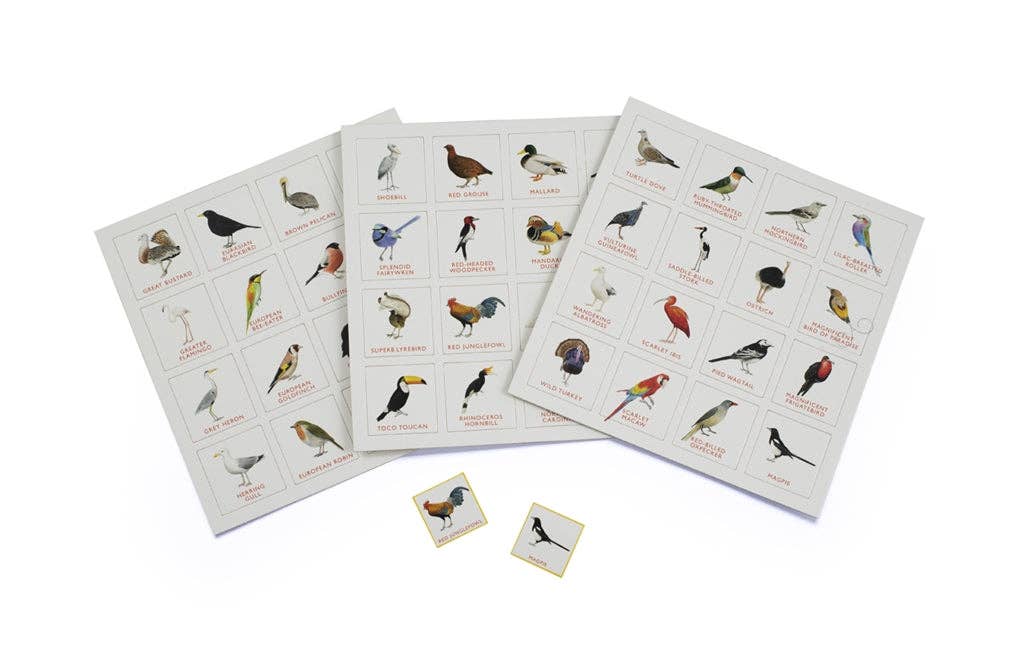Bird Bingo - Illustrated Nature Game
