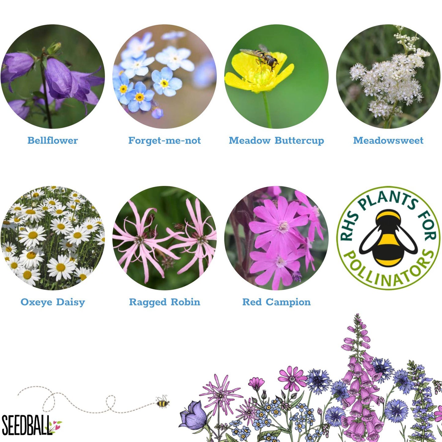Seedball Wildflower Grab Bag - Shade Mix