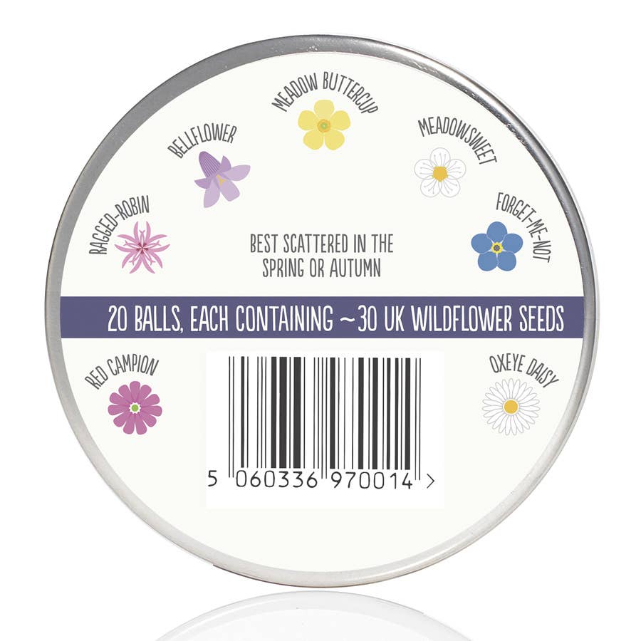 Wonderland Festive Seedball Tin