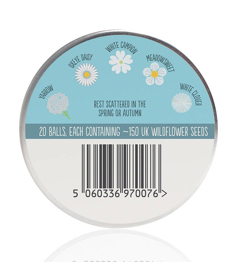 Let it Snow! Seedball Christmas Festive Tin