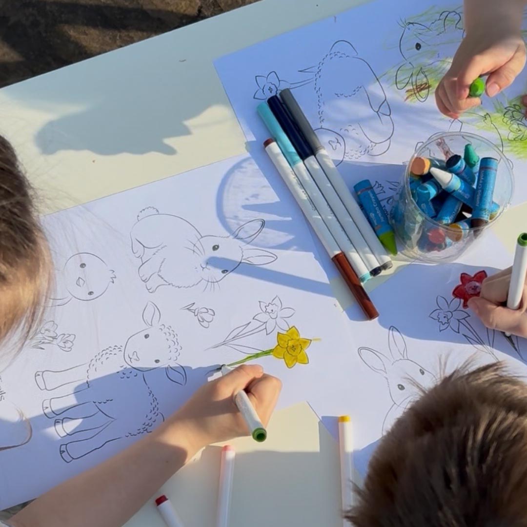 Spring Animal Colouring Pages
