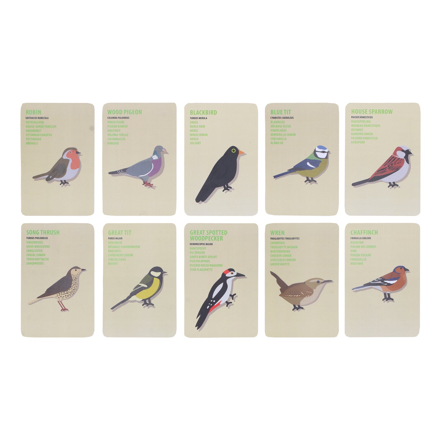 Kids Explorer Bag - Birds