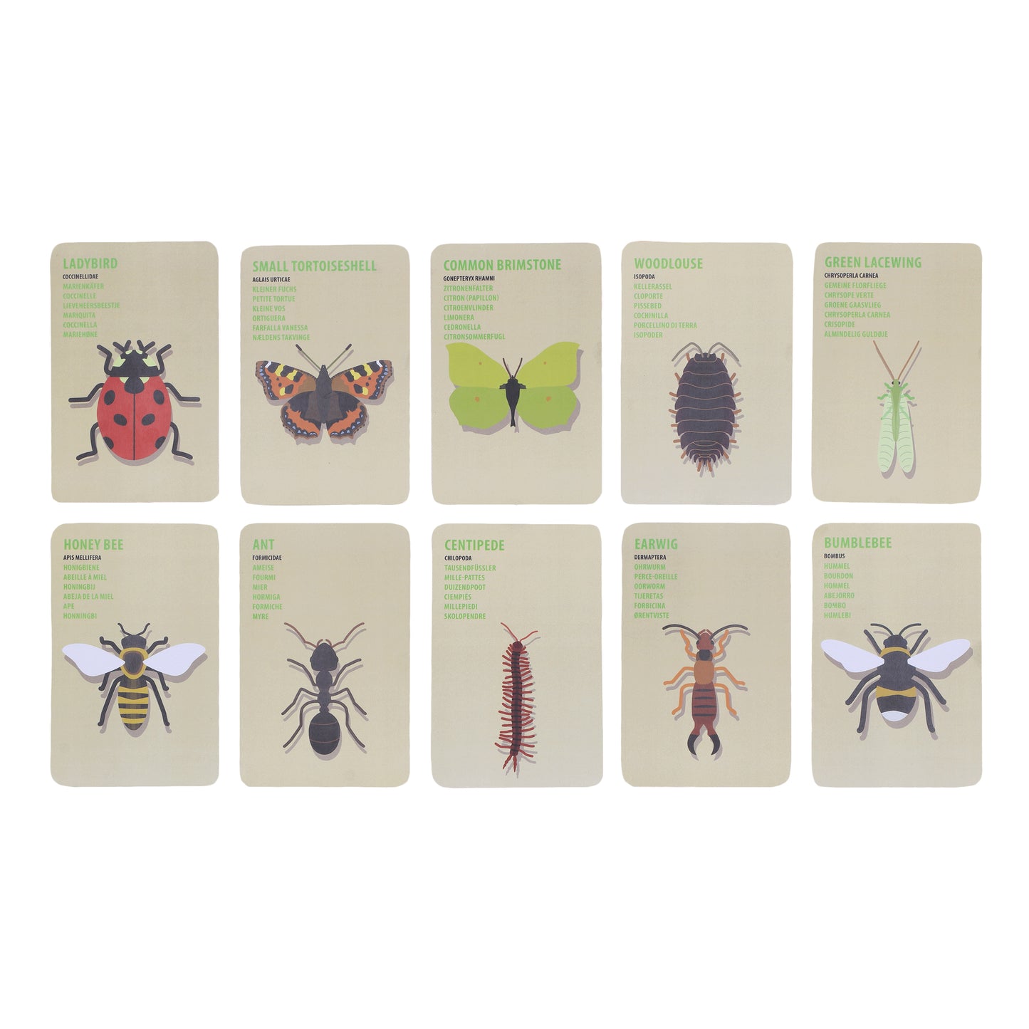 Kids Explorer Bag - Insects