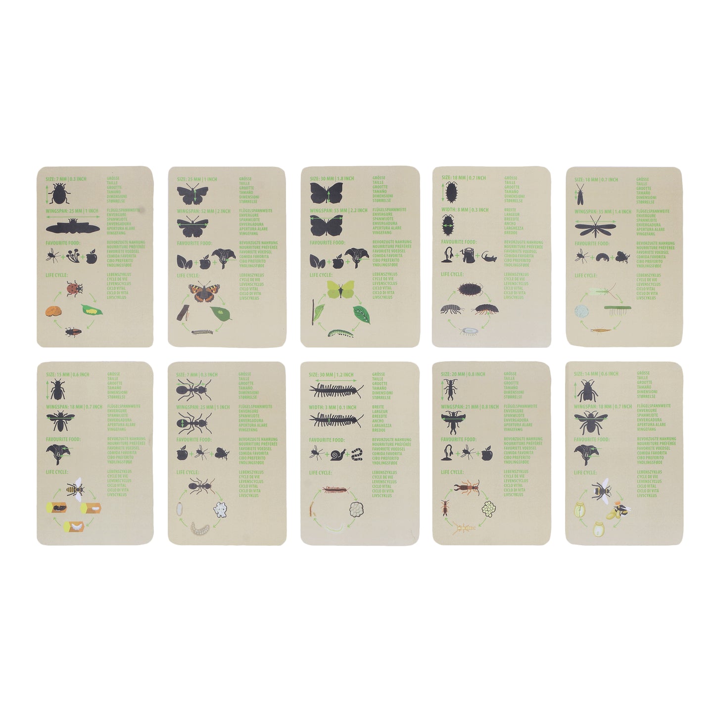 Kids Explorer Bag - Insects