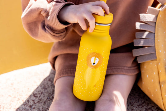 Mr Lion Insulated Water Bottle