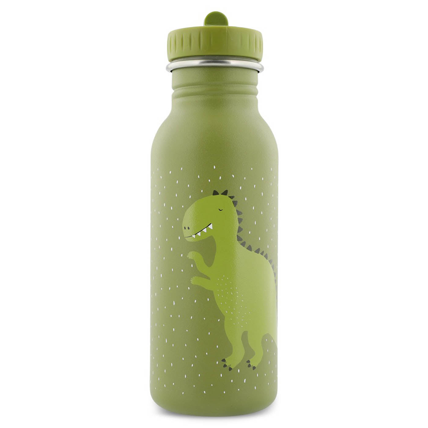 Mr Dino Insulated Water Bottle