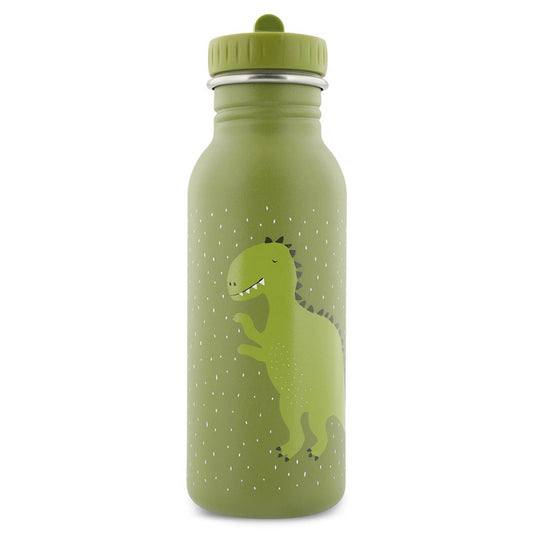 Mr Dino Insulated Water Bottle