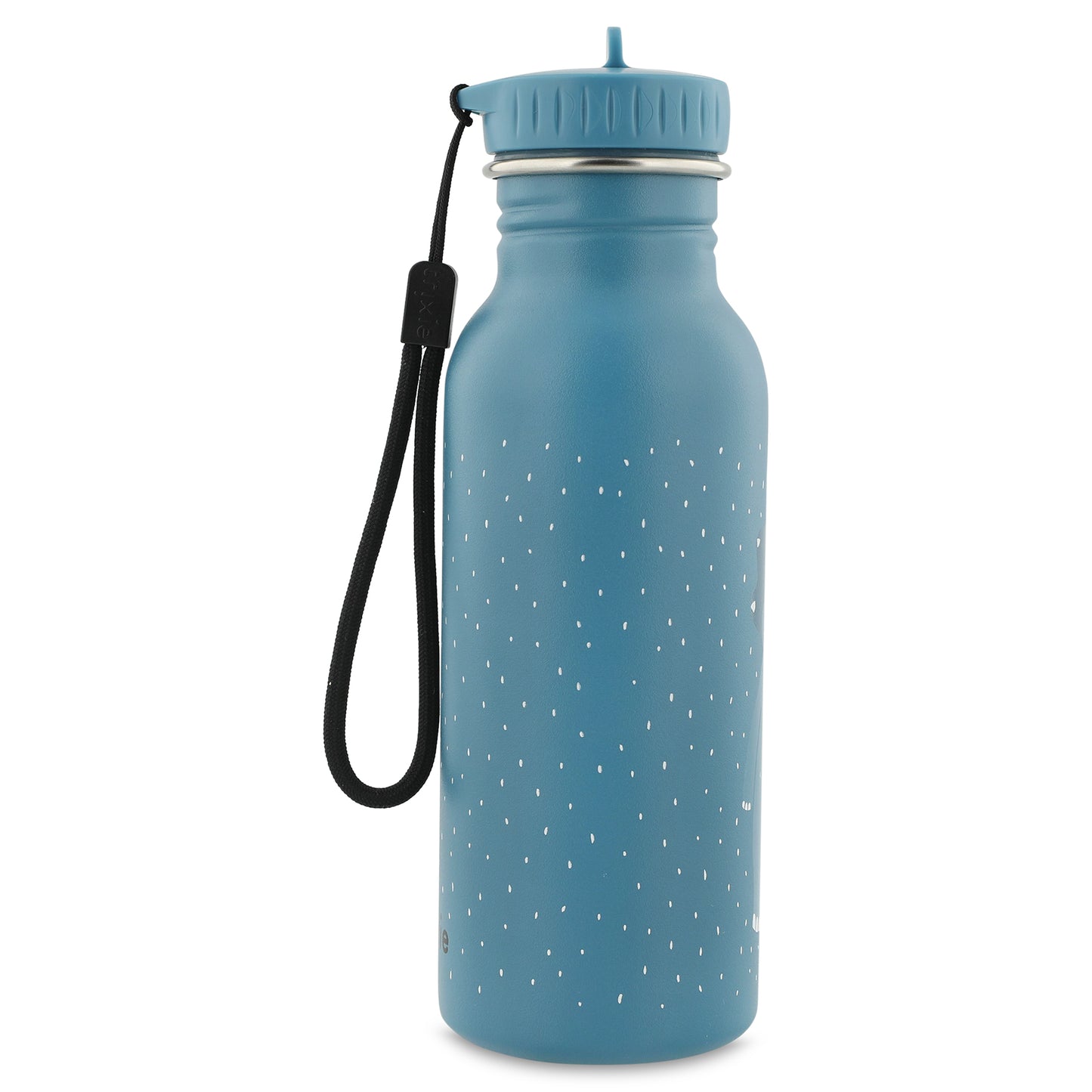 Mr Triceratops Insulated Water Bottle