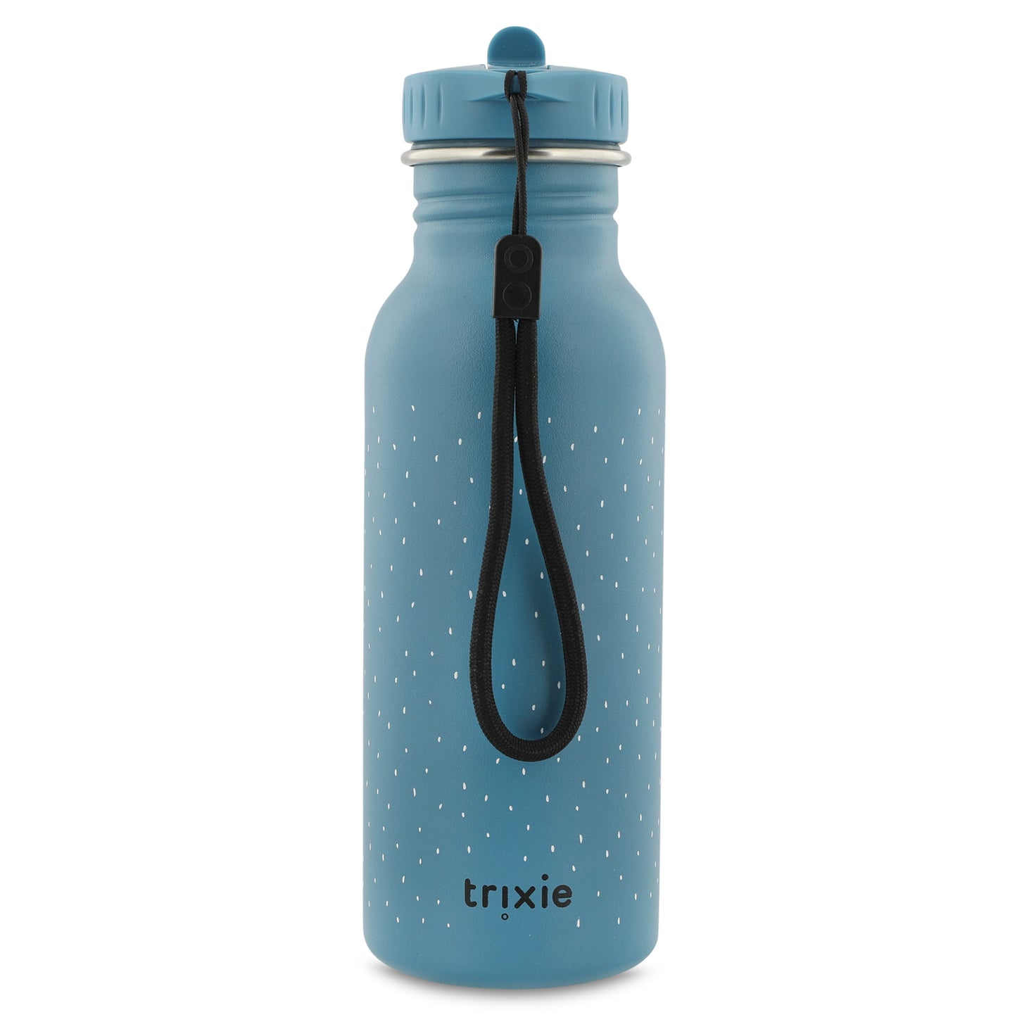 Mr Triceratops Insulated Water Bottle