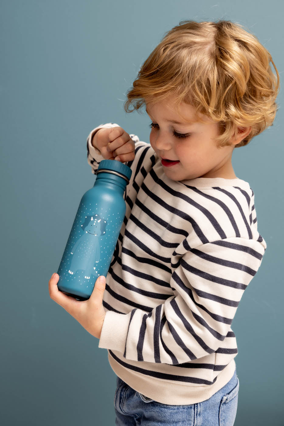 Mr Triceratops Insulated Water Bottle