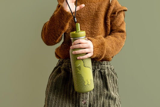Mr Dino Insulated Water Bottle