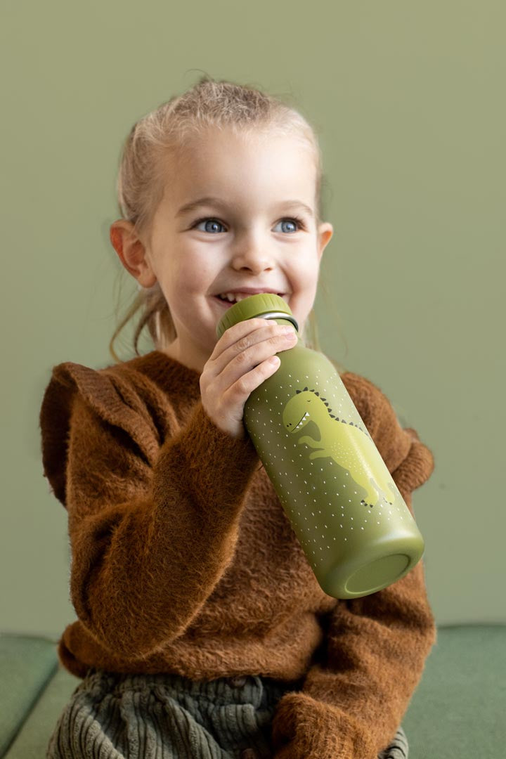 Mr Dino Insulated Water Bottle