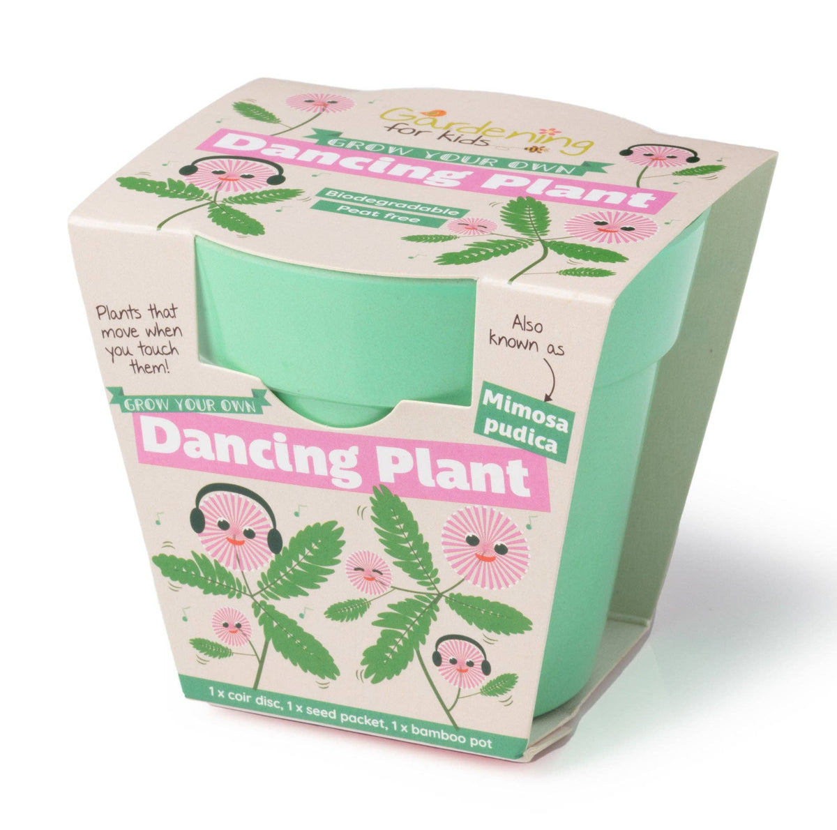 Grow Your Own Dancing Plant
