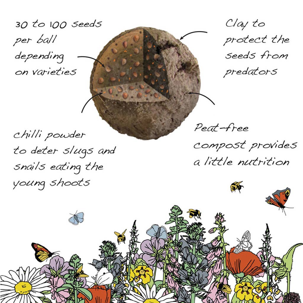Seedball Wildflower Grab Bag - Garden Meadow