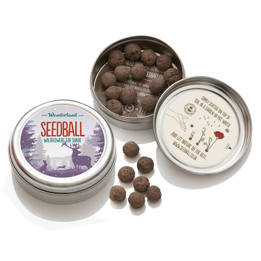 Wonderland Festive Seedball Tin