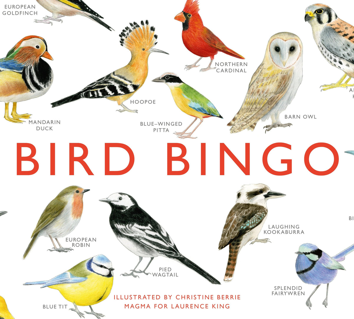 Bird Bingo - Illustrated Nature Game