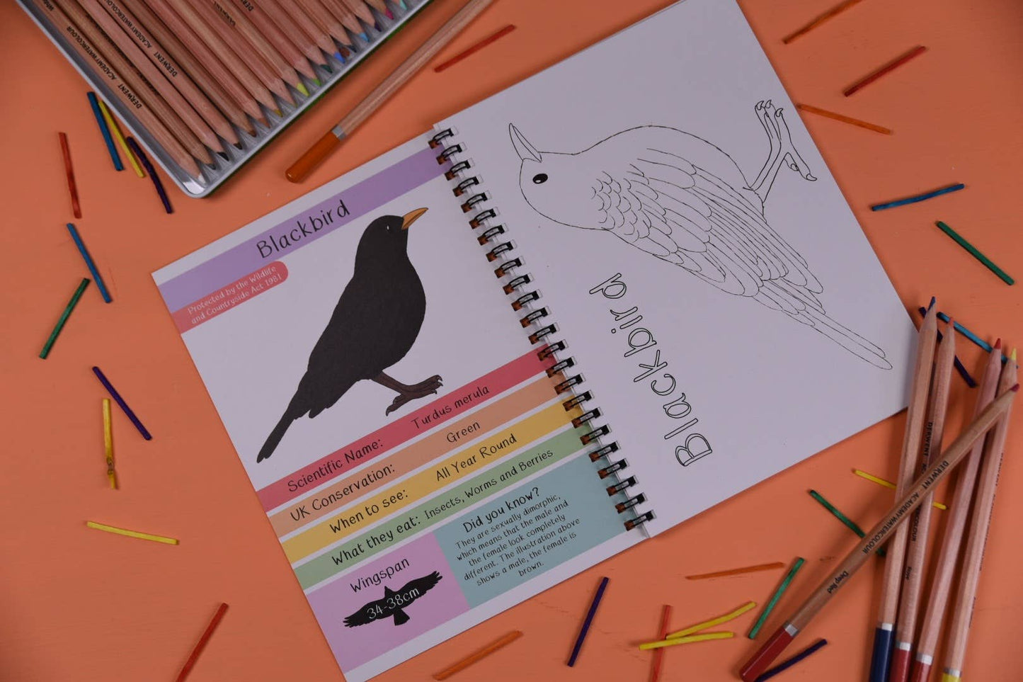 Amazing British Garden Birds Fact and Activity Book 
